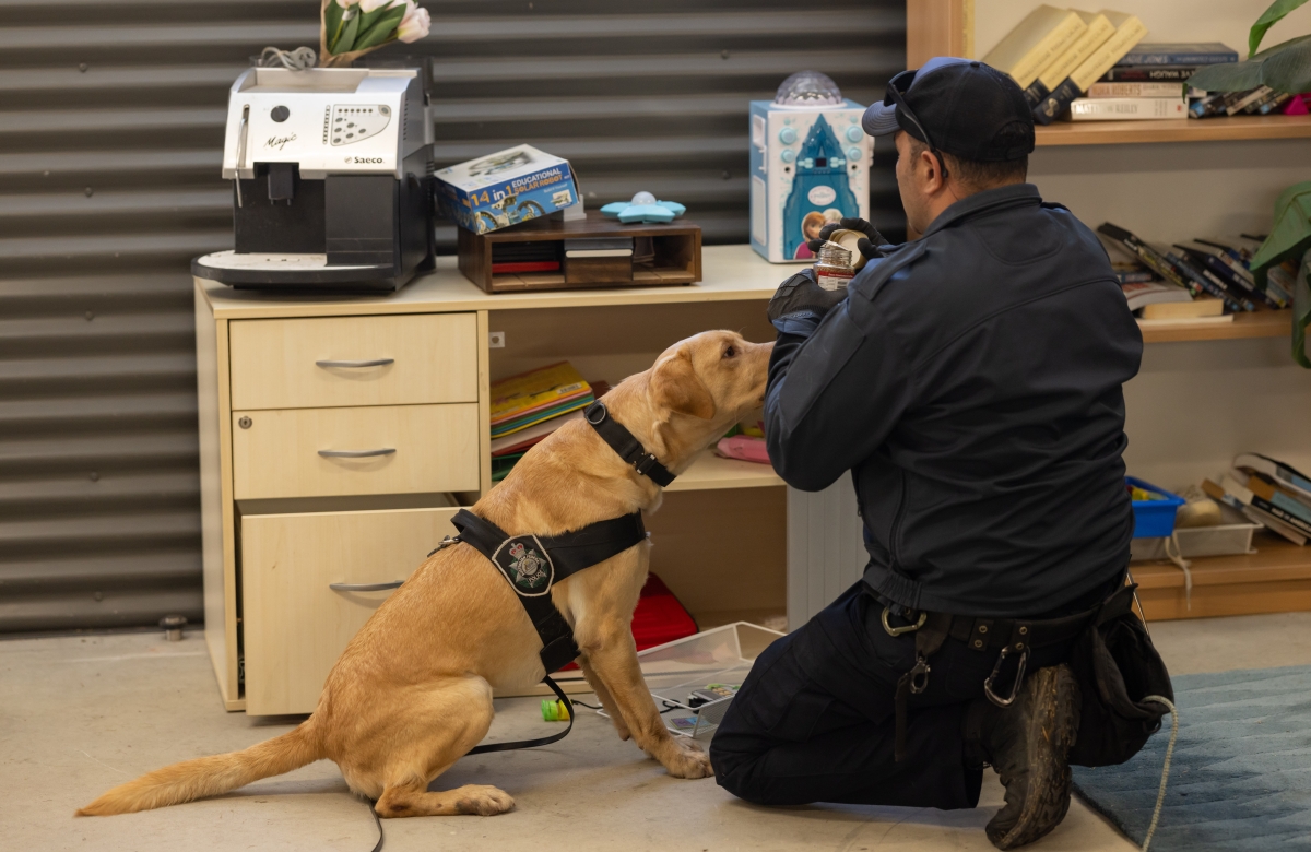 AFP Canine and officer searching a desk