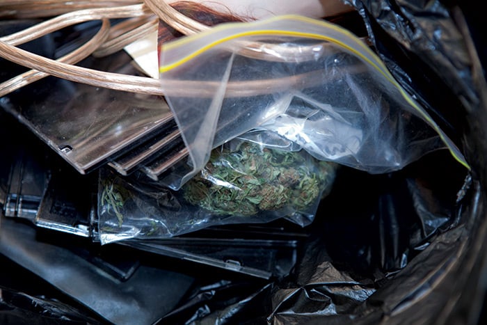 A clip seal bag of cannabis