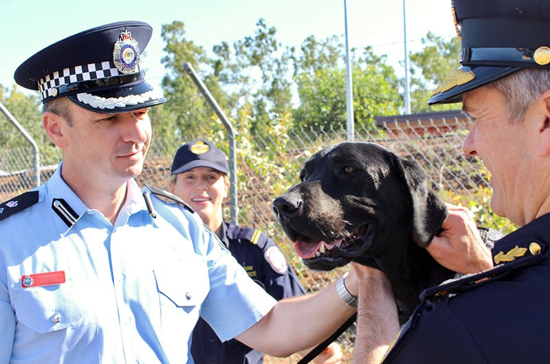a uniformed police officer patting a black dog