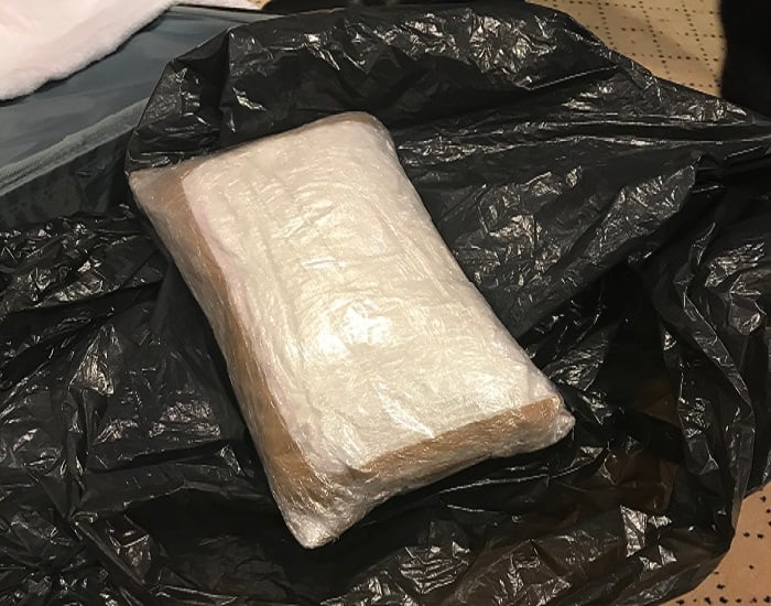 Cocaine seized on cruise ship