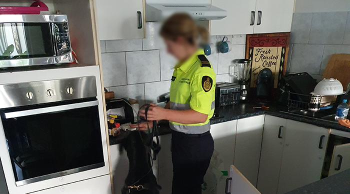 Detection dog and handler searching kitchen 