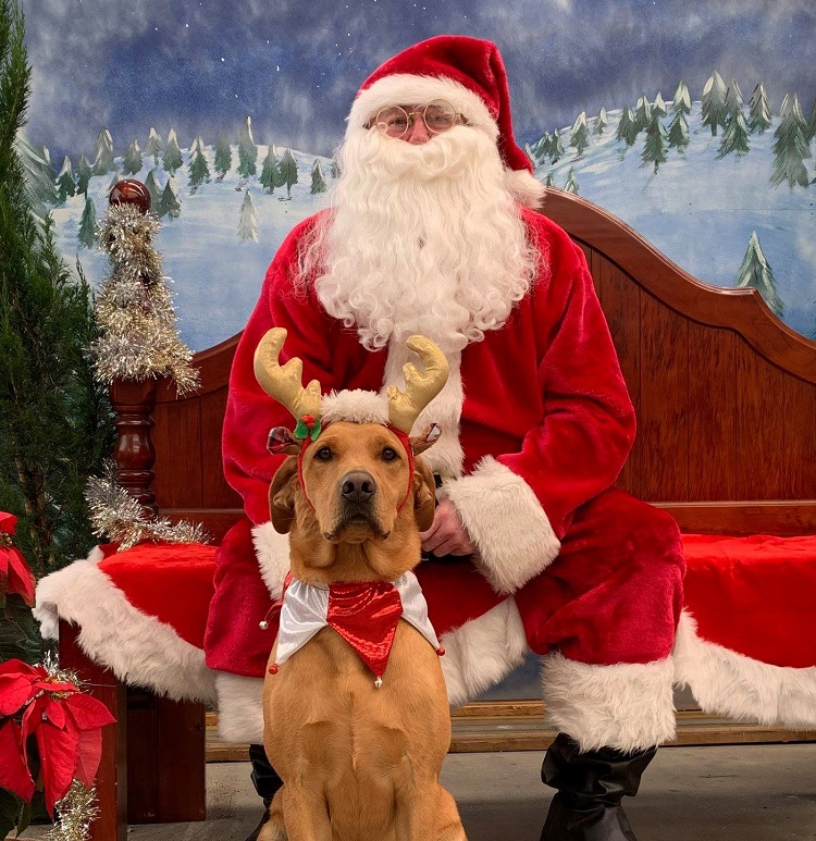Christmas_Canine_with_Santa