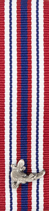 Commissioner's Commendation for Brave Conduct