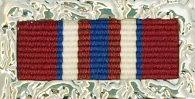 AFP Partnership Medal