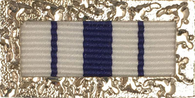 Commissioner's Group Citation for Conspicuous Conduct