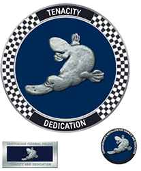 Commissioner’s Medallion for Tenacity and Dedication (CMTD)