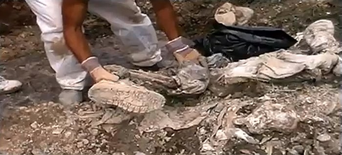 A shoe being lifted from the ground with leg bones visible