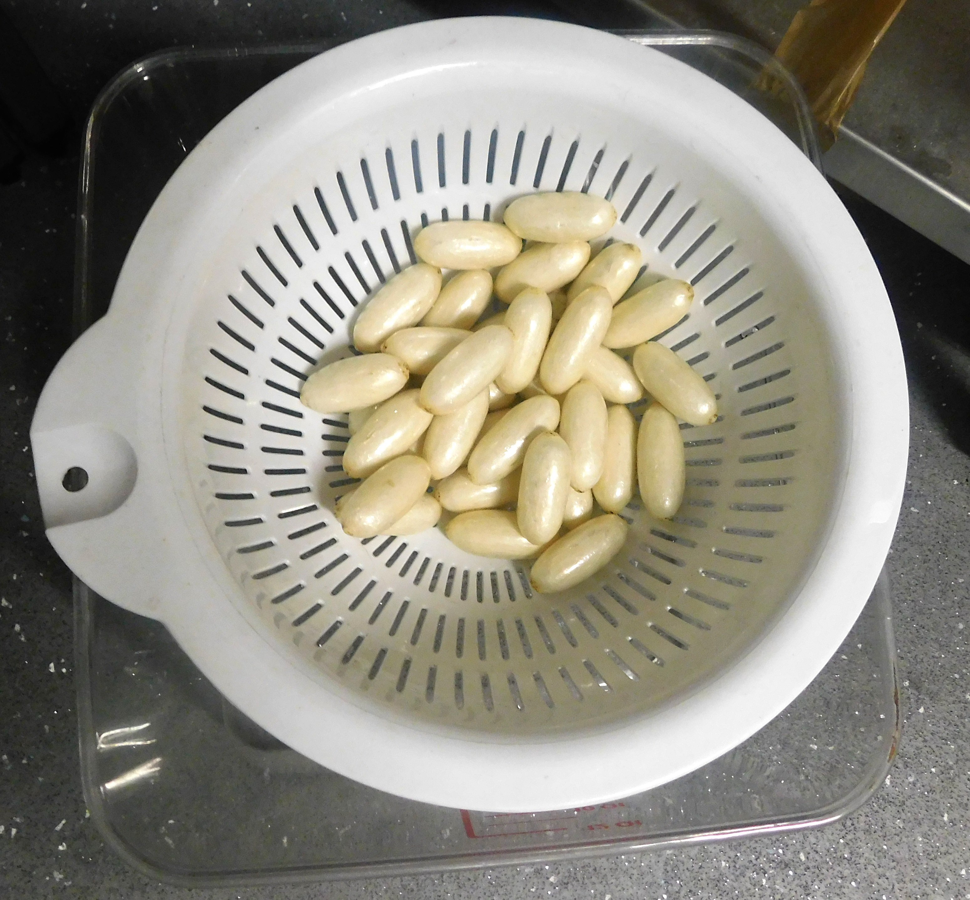 Pellets of cocaine recovered from an internal courier