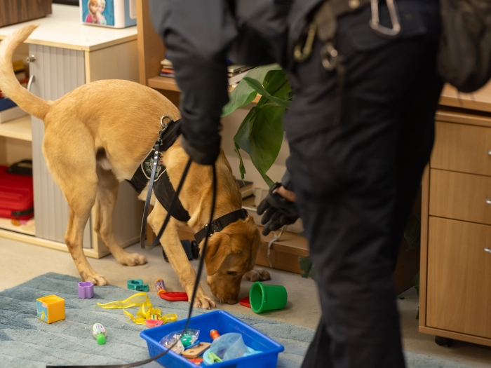 AFP Technology Detection Dog sniffing for devices