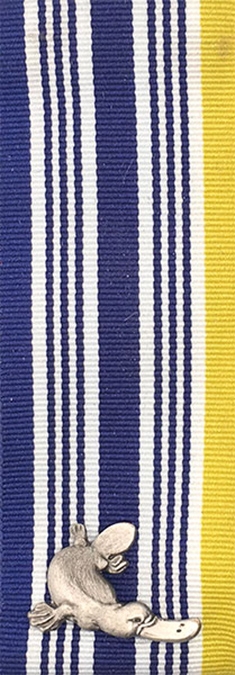 Commissioner’s Commendation for Excellence in Overseas Service