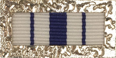Commissioner’s Group Citation for Conspicuous Conduct