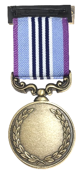 Commissioner's Medal for Innovation