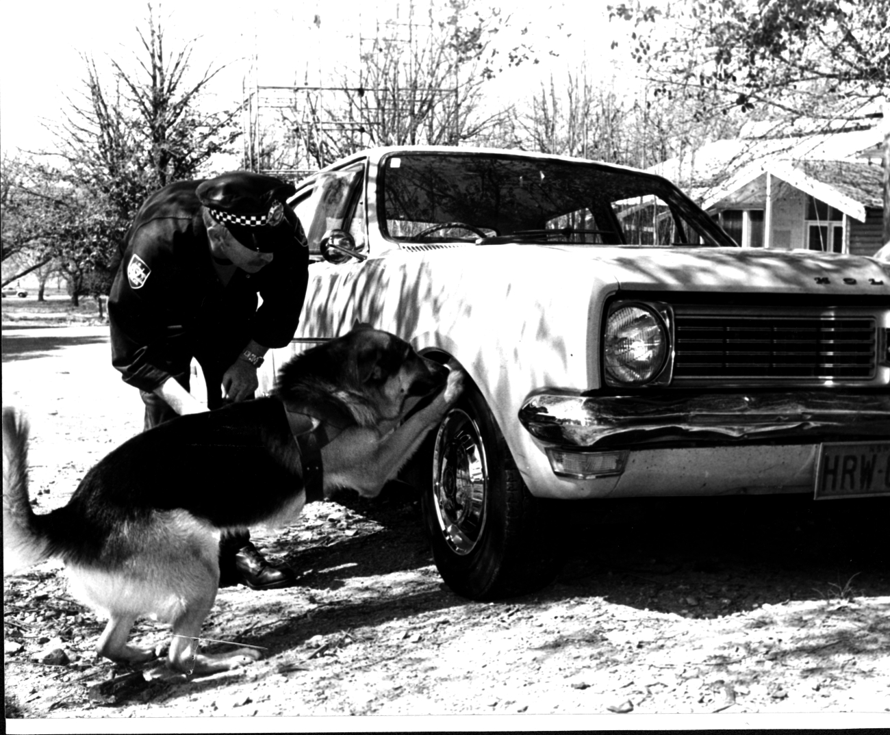 1983: Senior Constable Garry Baker with the AFP’s first canine, Kaiser (AFPM9287)