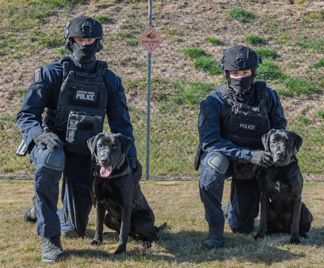 Two AFP officers with high-risk explosive detection dogs