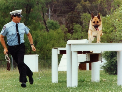 Officer with canine in training 1993 Photographer: Branko Ivanovic, Photography Unit, Forensics (AFPM522)