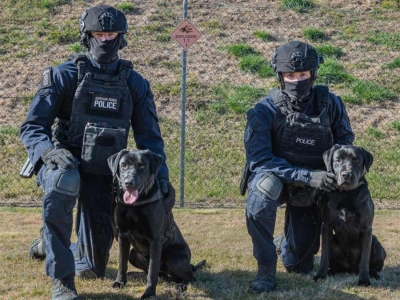 Two AFP officers with high-risk explosive detection dogs