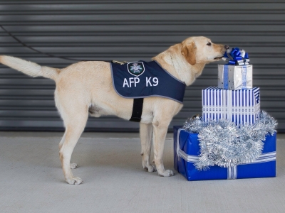AFP K9 investigates Christmas presents